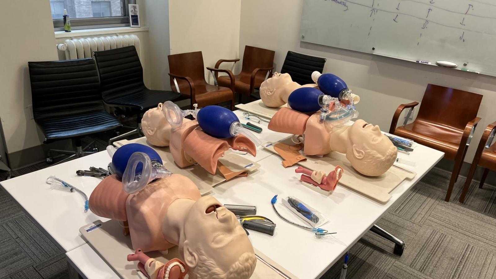 Mannequins used for airway instruction