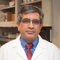 Shailendra Joshi, MD Profile Headshot