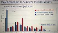 Pain According to Surgical Incision Length