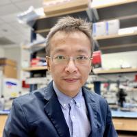 Hang Zhou, PhD