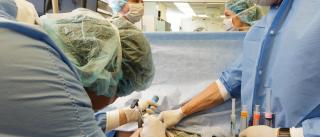 Cardiothoracic Anesthesia Anesthesiology